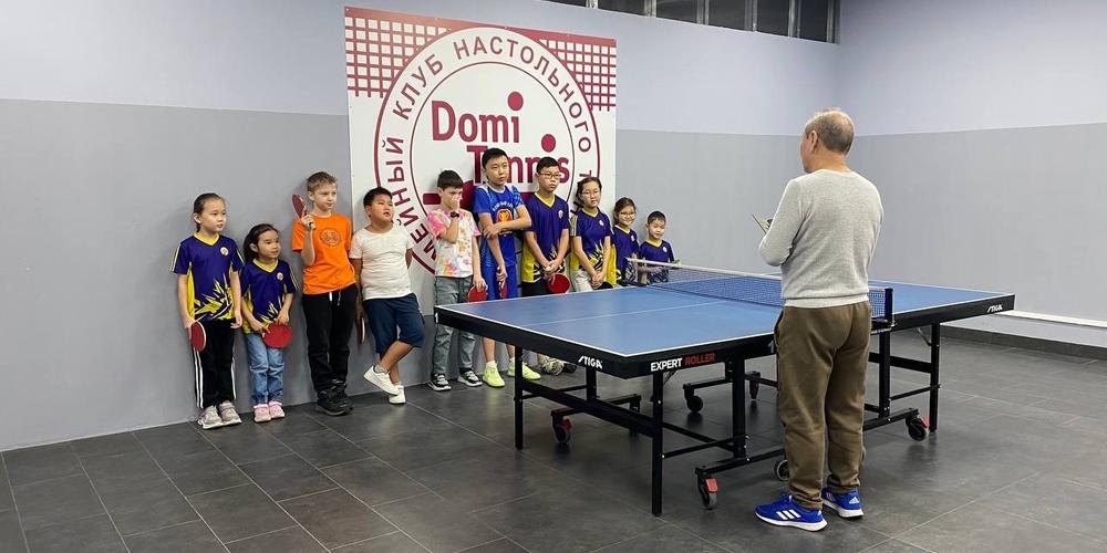 DomiTennis